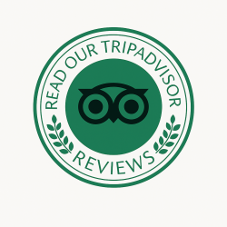tripAdvisor